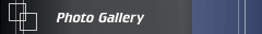 Photo Gallery